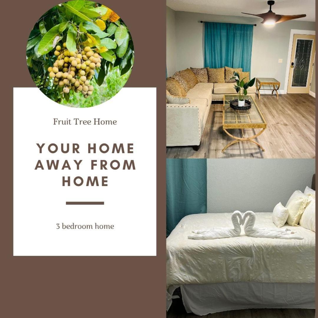 3Bdrm Fruit Tree Home Near Downtown Ορλάντο Εξωτερικό φωτογραφία